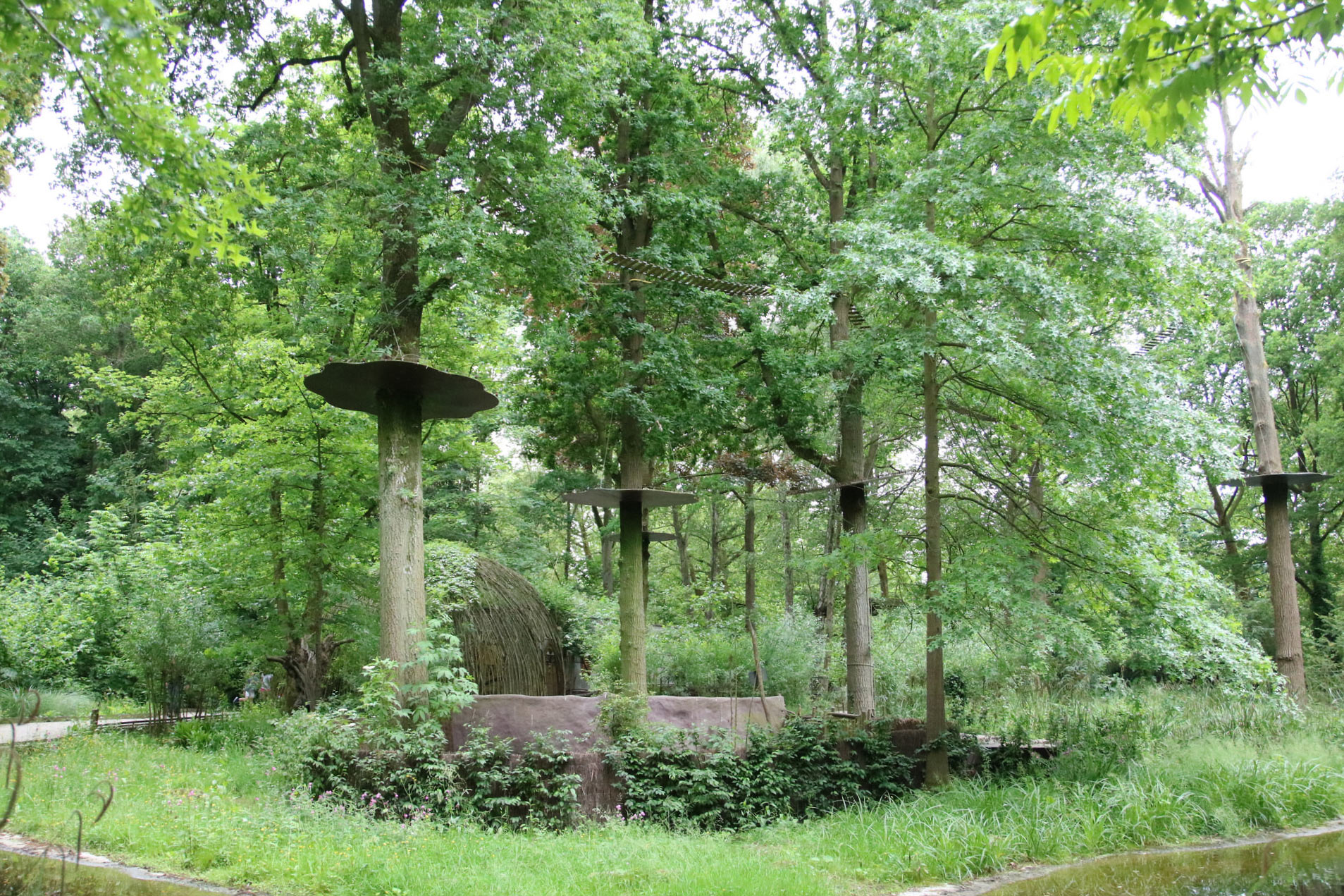 Dierenpark Planckendael